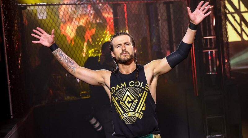 WWE: Adam Cole suggerisce un suo possibile debutto a Smackdown Adam-Cole-800x445