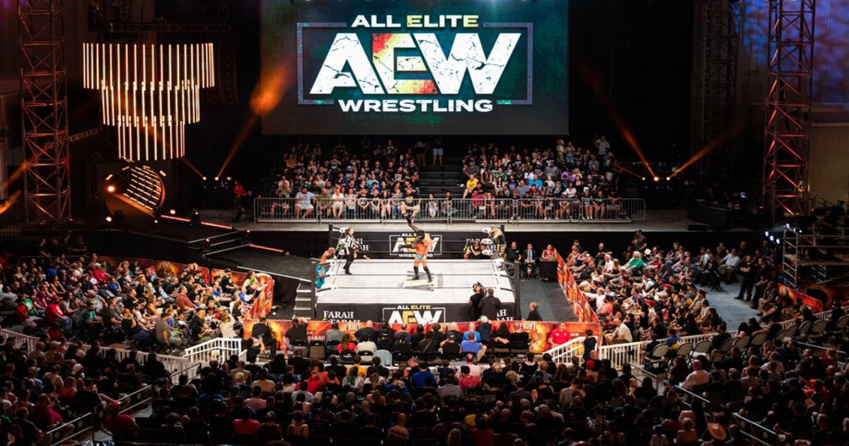 AEW Fan