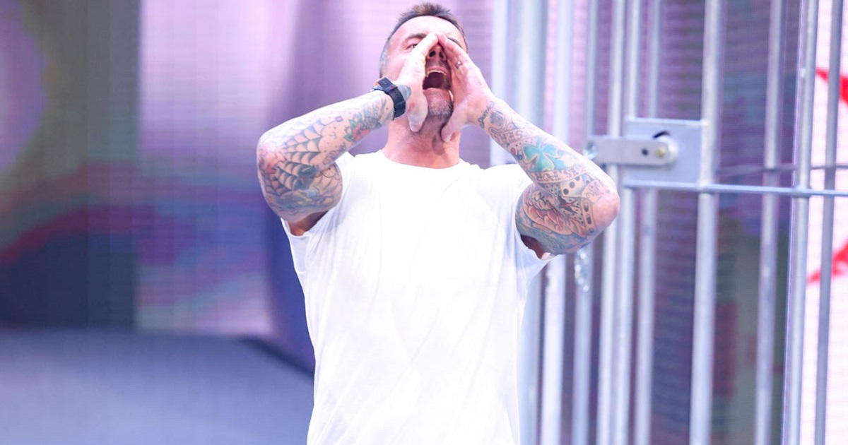 CM Punk