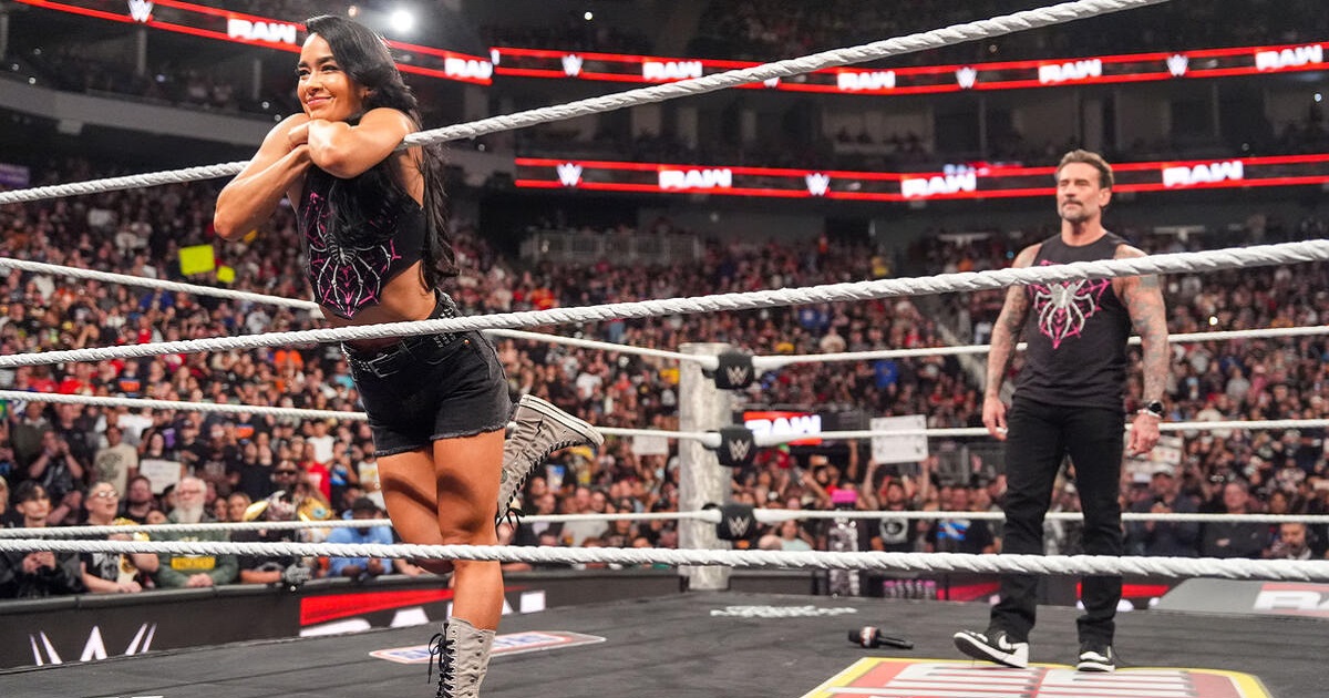 AJ Lee CM Punk