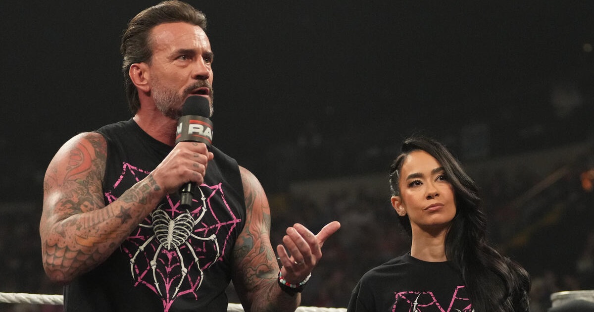 CM Punk AJ Lee