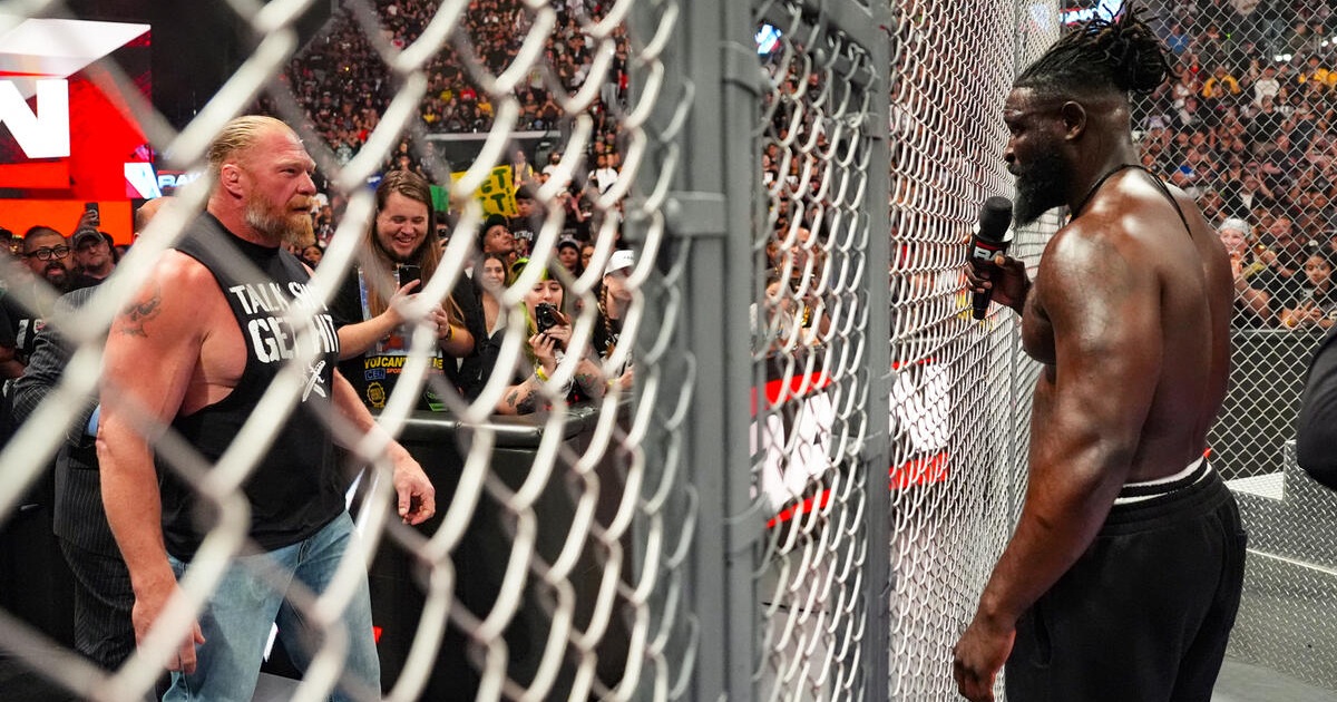 Brock Lesnar Oba Femi