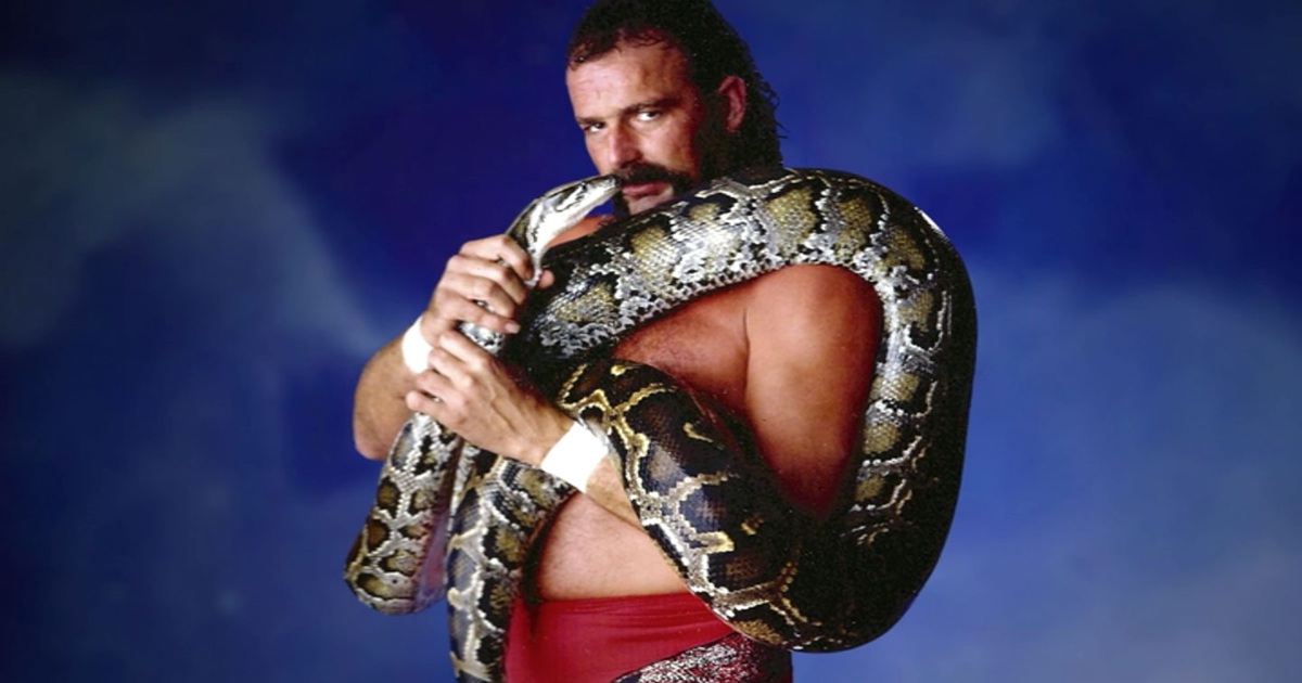 Jake the Snake Roberts